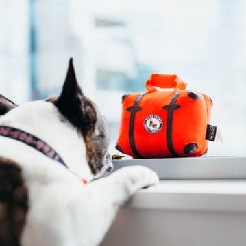 P.L.A.Y. Cute Plush Dog Toys - Globetrotter, Travel Themed Durable Squeaker Chew Toy, Great for Puppies & Small, Medium, Large Dog Breeds - Machine Washable, Recycled Materials (Pack & Snack Suitcase)