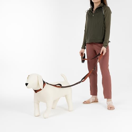 OllyDog Flagstaff Collar, Adjustable Soft Puppy Collars with Quick Release Buckle, Ideal Dog Collar for Everyday Use and Adventures (Small, Clay Woodgrain)