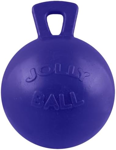 Jolly Pets Dog 10-Inch Tug-n-Toss, Blue