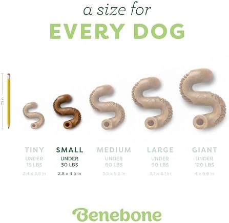 Benebone Tripe Bone Durable Dog Chew Toy for Aggressive Chewers, Small