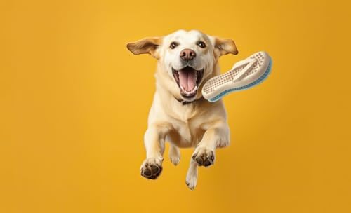 Spunky pup Gnaw Guard Squeaky Toy, Flip Flop