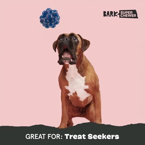 BarkBox Ruffberry Blast Dog Toy - for Small Dogs