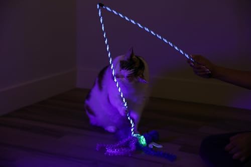 Quirky Kitty Glowing Forest Firefly Wand Catnip Cat Toy for Night Play Time