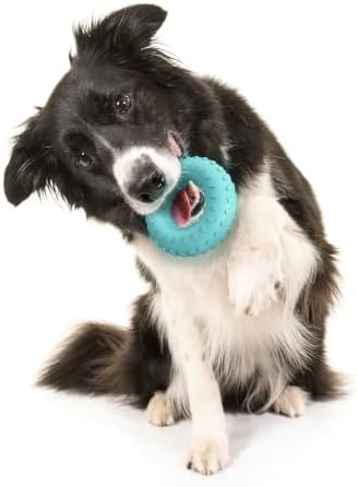 Playology Dual Layer Ring Toy for Aggressive Chewers, Peanut Butter Scent