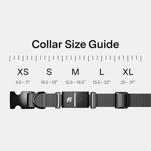 Fi Series 3+ GPS Dog Collar Small Gray, Tracker with 6-Month Plan | Waterproof build, LED safety light, escape alerts, nationwide coverage, iOS and Android app, activity monitoring