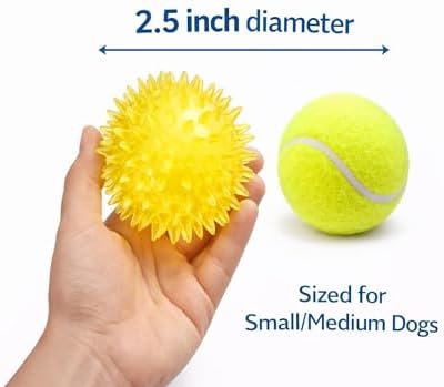 Squeaky Spiky Dog Ball 2.5 Inch for Small Medium Dogs (Color Varies), Teeth Cleaning & Gum Massage, Spiny TPR Rubber Chew Toy for Fetch Play, Interactive Bouncy Dental Ball, Durable BPA Free