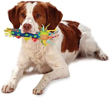 Cool Teething Stick Dental Dog Chew Toy, Soak & Freeze, 8.5"