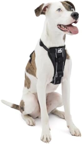 Kurgo Tru-Fit Smart Harness, Black, Medium