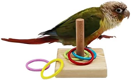 LAIYOHO Parrot Intelligence Training Toy