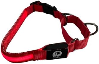 Light-Up Martingale Training Adjustable Dog Puppy Collar - REMIPET - Waterproof, LED Illuminated, USB Rechargeable, Reflective Safety, Durable, Nylon, Gift (Red, Large)