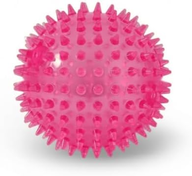 Squeaky Spiky Dog Ball for Teeth Cleaning & Gum Massage 2.5 Inch Small Medium Dogs Pink | Spiny TPR Rubber Chew Toy for Fetch Play Interactive Bouncy Dental Ball Durable BPA Free Nontoxic Floats