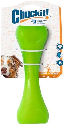 Chuckit! Crunch Bones Dog Fetch Sensory Toy, Medium, Green – Beef‑Scented Sensory Bone with Crunch Sound & Grooves for Spreadable Treats – Durable Fetch Toy for Dogs 20–50 lb – Pack of 1