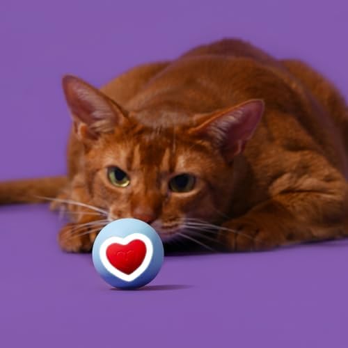 ZEZE Sweetie Smart Auto-Rolling Cat Ball Toy with LED Heart Light, USB Rechargeable, Interactive, 2-Mode Rolling, Obstacle Avoidance, Quiet Motor, Silicone Shell, Self-Play Toy for Cats and Kittens