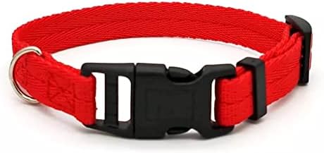 Nylon Webbing Dog Collar Fashion Buckle Pet CollarAccessory