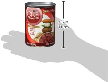 Purina ONE Classic Ground Beef & Rice Wet Dog Food, (12) 13 oz Cans | Complete & balanced for adult dogs, high protein, natural dog food with added vitamins, minerals and nutrients, no fillers