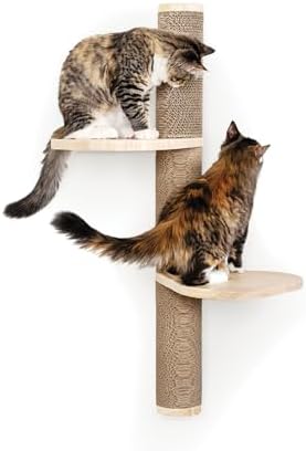 Cat Climbing Wall System – Modern Floating Shelves & Perches for Cats - Sunrise Steps | Ascentials by FurHaven