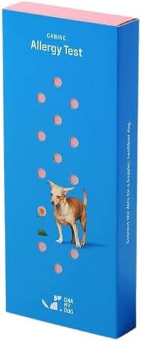 DNA MY DOG Vet-Recommended and Most Accurate Allergy Test for Itchy, Sensitive Dogs | Cheek Swab – The Gold Standard of Testing | Tests for All Common Food & Environmental Allergens | Custom Report
