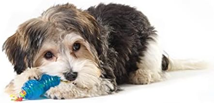 Chew Dog Toys for Teething Puppies & Small Dogs up to 15 lbs, Multi-Texture Dental Support, Bounces & Floats, Moderate Chewers, 2-Pack, 5"