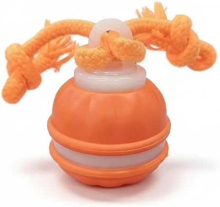 Winb Interactive LED Dog Ball （4 inch）- USB Rechargeable Motion-Activated Rolling Toy for Small to Large Dogs, Dogs Ball Play and Wicked Fun,Squeaky Sound & Stimulation, Orange