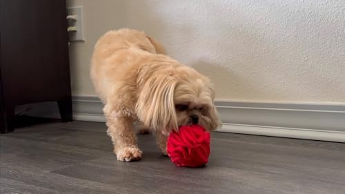 Glory To Dog Puppy/Small Breed Snuffle Dog Puzzle Ball Toy Red with Crinkle