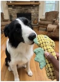 Squeaky Dog Toys for Small Medium Dogs – Adorable Seahorse Plush Rope Chew Toy with Squeaker, Durable Puppy Teething Toy for Interactive Play & Boredom Relief, 9.25 Inches