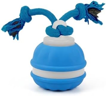 Winb Interactive LED Dog Ball （4 inch）- USB Rechargeable Motion-Activated Rolling Toy for Small to Large Dogs, Dogs Ball Play and Wicked Fun, Squeaky Sound & Stimulation, Blue