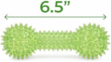 Squeaky Spiky Dog Barbell Toy for Teeth Cleaning & Gum Massage 6.3 Inch Medium Large Dogs Green | Spiny TPR Rubber Chew Toy for Fetch Play Interactive Dental Barbell Durable BPA Free Nontoxic Floats