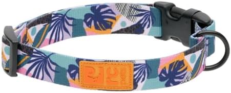 RC Pets Eco Clip Collar | Adjustable, Durable, Earth-Friendly | Large, 1-Inch, Mystic Monstera
