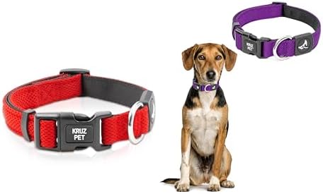 Dog Collar Bundle for X-Small Dogs Width- 5/8", Neck - 8"-12" | Adjustable Padded Red & Amethyst Dog Collars with Heavy Duty D-Ring | Soft & Comfortable Fit for Small Dogs