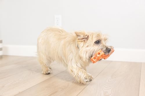 Chuckit! Holee Roller Dog Treat Puzzle Bone, Small, Orange – Interactive Treat & Chew Puzzle Toy for Dogs Up to 20 lb – Durable Rubber Bone‑Shaped Fetch Toy for Mental Stimulation – Pack of 1