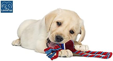 Dog Rope Toy with Tennis Ball (11”) – 1-Pack Red