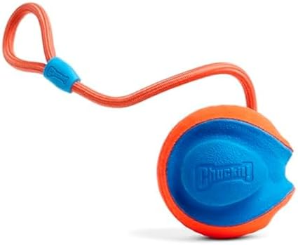 Chuckit! Rope Fetch Dog Toy, Ball on Rope, Durable EVA Rubber, 5.5-in