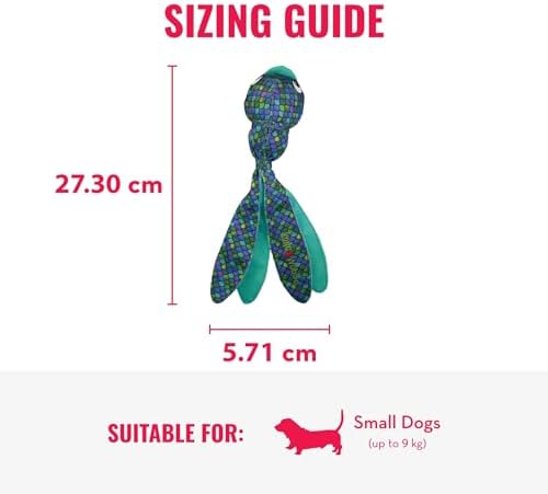 KONG Wubba Finz - Dog Toy for Tug of War & Fetch - Dog Supplies for Puppy & Dog Playtime - Outdoor & Indoor Dog Toy (Blue, Small)