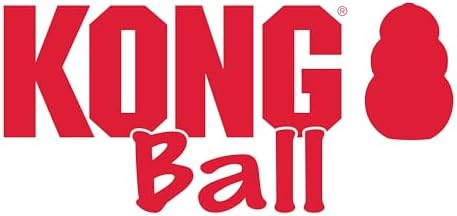 KONG Ball with Hole, Natural Rubber Fetch Toy, Red, for Large/Medium Dogs