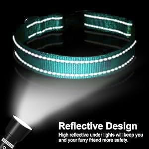Reflective Dog Collar for a Small, Medium, Large Dog or Puppy with a Quick Release Buckle - Boy and Girl - Nylon Suitable for Swimming (Cyan, L)