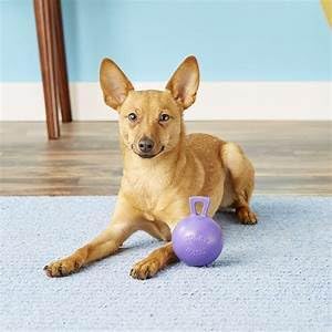 Jolly Pets Tug-n-Toss Heavy Duty Dog Toy Ball with Handle, 4.5 Inches/Small, Purple