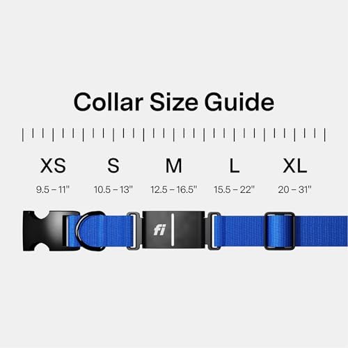 Fi Series 3+ Dog GPS Collar, Medium Blue Dog Tracker, 12 Months Included | Live 24/7 location updates, escape alerts, activity and sleep insights, waterproof steel build, LED night light