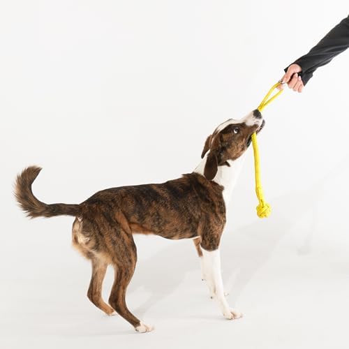 Playology Dog Rope Toy Tug Knot for Puppies - Medium, Chicken Scent