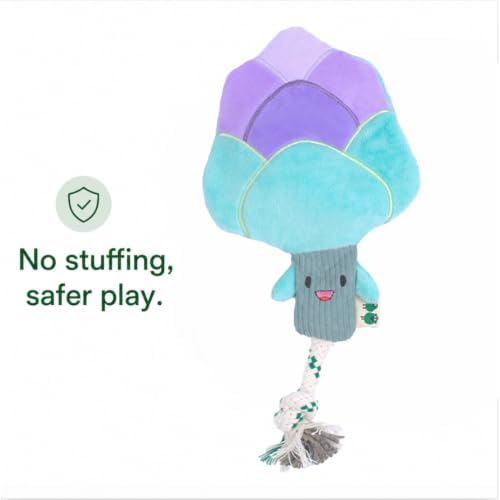 Green Sheep Interactive Plush Dog Toy, No Stuffing Squeaky Toy with Recycled Cotton Rope for Medium to Large Dogs, Chew Toy, Asparagus