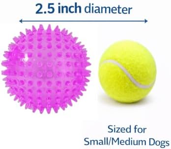 Squeaky Spiky Dog Balls for Teeth Cleaning & Gum Massage 2.5 Inch Small Medium Dogs Purple | Spiny TPR Rubber Chew Toys for Fetch Play Interactive Bouncy Dental Balls BPA Free Nontoxic Floats - 3 Pack