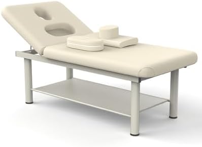 Heavy-Duty Professional Massage Bed Stationary Massage Table with Backrest Adjustable, Metal Frame, PU Leather, Spa Physical Therapy Bed, Home Use Facial Treatment Table - 31.5'' W x 75'' L