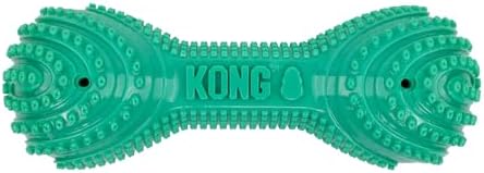 KONG CoreStrength Dog Toy – Dumbbell –Durable Tough Chew Toy for Medium & Large Dogs – Textured Dental Chew for Teeth & Gums – Fetch & Interactive Play