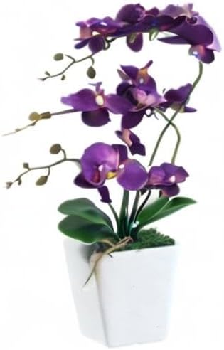 15" Silk Phalaenopsis Orchid in Square Pot, Dark Purple Flower Arrangements | Lifelike Faux Potted Blooms with Moss in a Ceramic Planter. Looks Real, Zero Upkeep, Ideal Centerpiece for Any Table