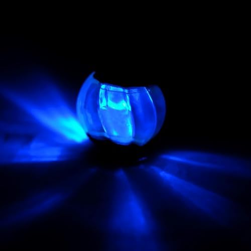 ZEUS Duo Balls with LED, Interactive Dog Toys, Small (96287)