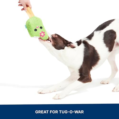 BarkBox BARK Consuela the Cactus Pop - 2-in-1 - Large