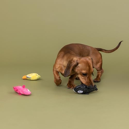 Fringe Studio Plush Dog Toy, 3 Pieces Set, HIGH FIN Buds, Pet Shop Collection (662174)
