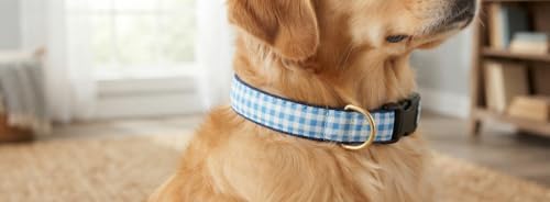 Up Country Bug-C-XL Blue Gingham Dog Collar XL Wide (1")