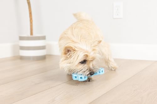 Chuckit! Holee Roller Dog Treat Puzzle Bone, Small, Blue – Interactive Treat & Chew Puzzle Toy for Dogs Up to 20 lb – Durable Rubber Bone‑Shaped Fetch Toy for Mental Stimulation – Pack of 1