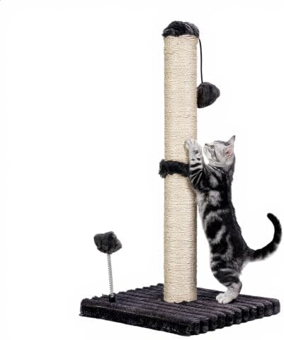 MECOOL Cat Scratching Post Premium Basics Kitten Scratcher Sisal Scratch Posts with Hanging Ball 22in for Kittens or Smaller Cats (22 inches for Kitten,Charcoal Gray)