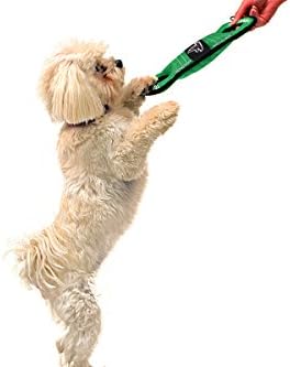 Pets First NFL Football Field Dog Toy with Squeaker. - Atlanta Falcons - for Tug, Toss, and Fetch. - Tough & Durable PET Toy